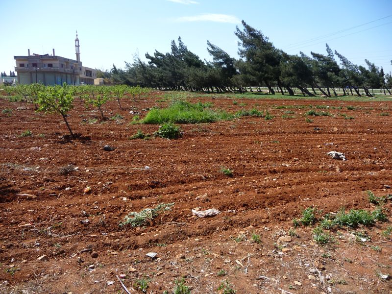 P1030003.JPG